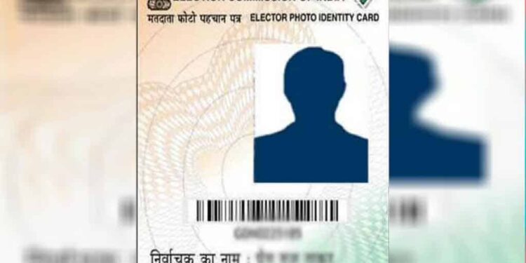 voter id card