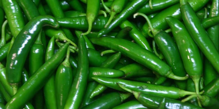 Green Chili Benefits If you want to get rid of these problems, then consume green chili daily, its countless benefits.