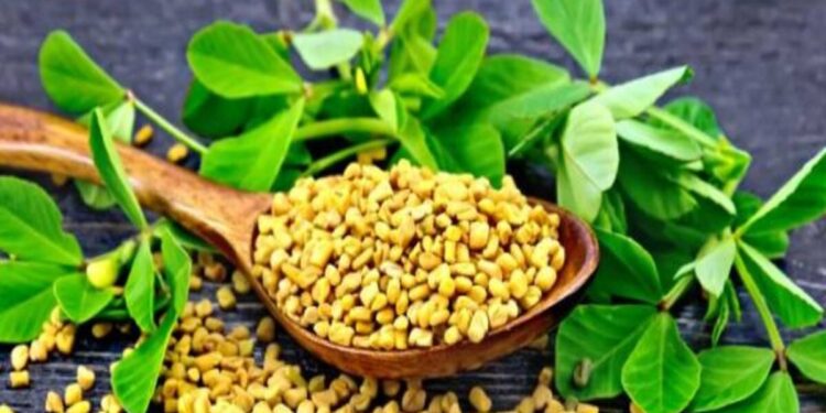 Make hair beautiful with fenugreek leaves, know how to make Natural Hair Color Powder