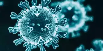 Corona Virus