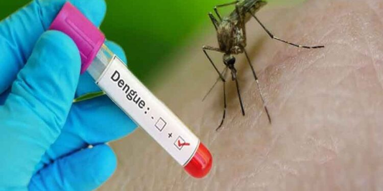 Dengue