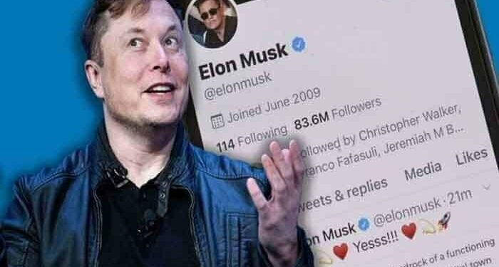 Elon-Musk-Twitter-Account