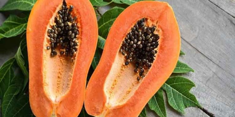 papaya seeds