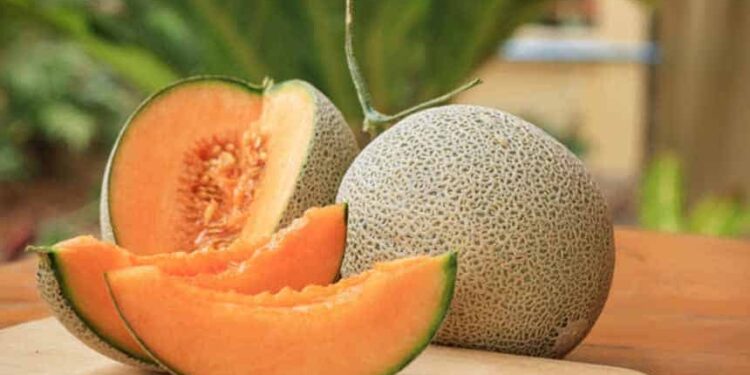 cantaloupe, its seeds