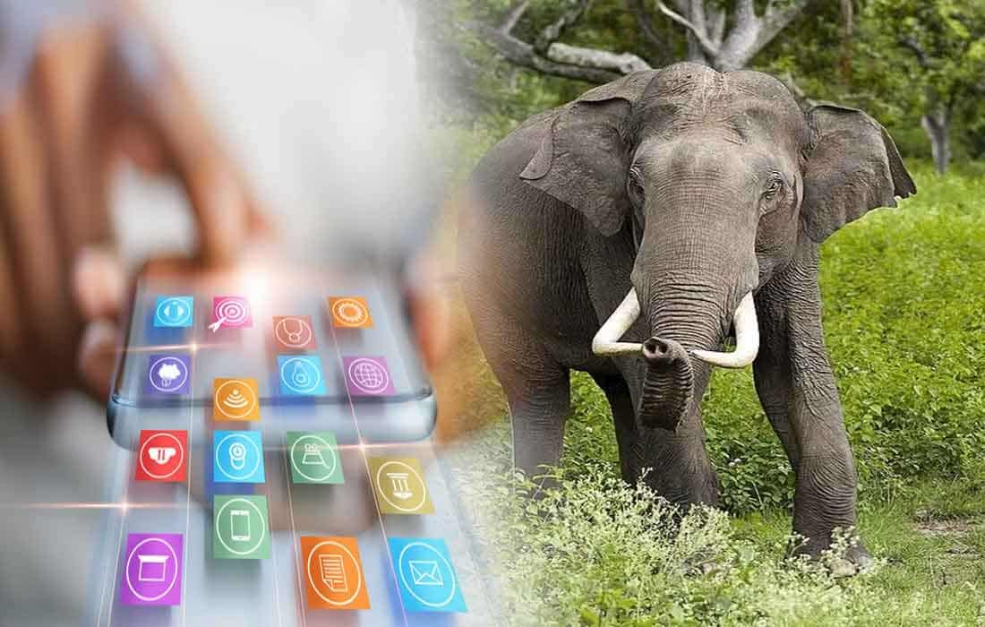 jharkhand-forest-department-launches-mobile-alert-app-to-prevent-elephant-menace