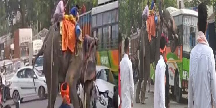 Elephant created havoc in Dussehra procession, overturned vehicles on the road, one died