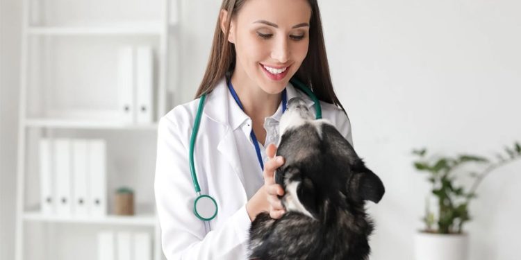 Veterinarians